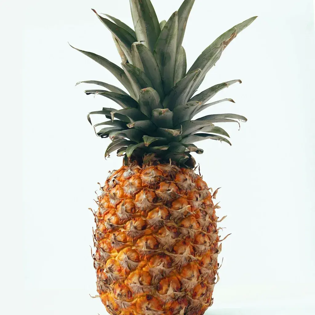 Pineapple Rings
