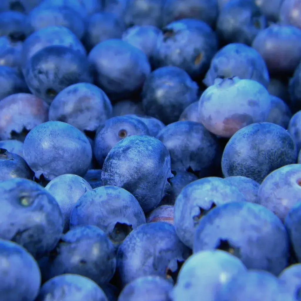 Fresh Blueberries 2