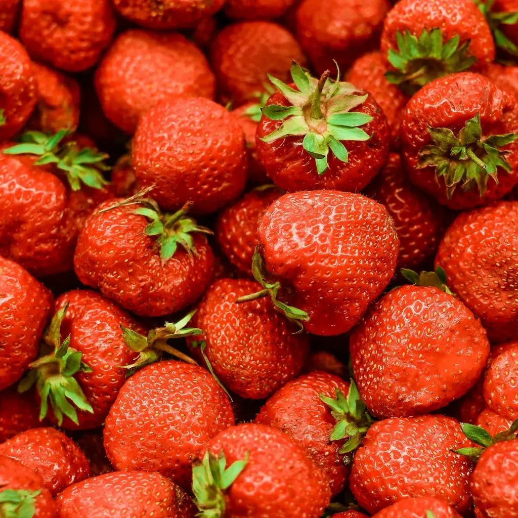 Premium Fruit Basket